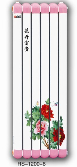 8560彩帽暖气换热器/彩帽热水交换器
