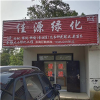 江苏溧阳佳源绿化苗木基地江苏鸡爪槭