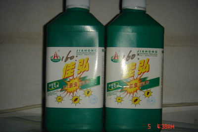 泉州灭白蚁、泉州白蚁防治