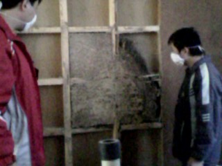 莆田白蚁防治|莆田建筑物白蚁防治