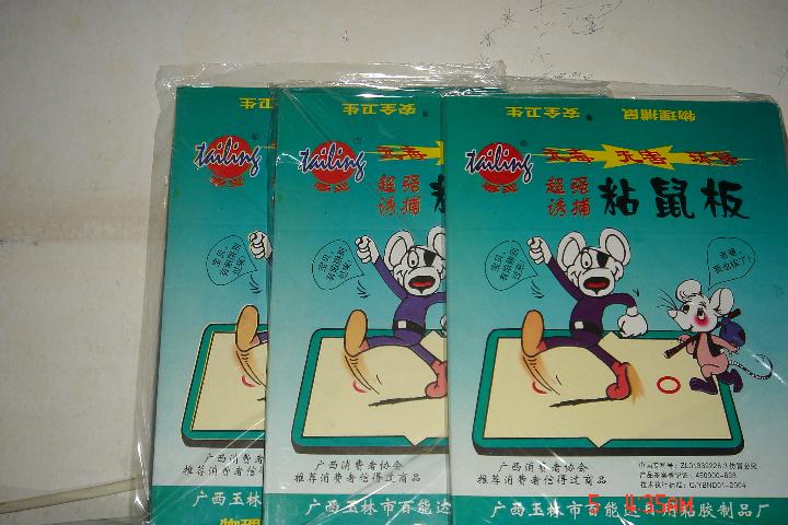 泉州老鼠防治.泉州灭老鼠