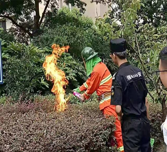 南京灭马蜂窝电话