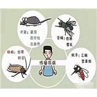 南京杀虫公司