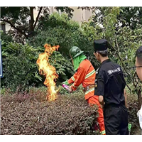 南京灭马蜂窝电话