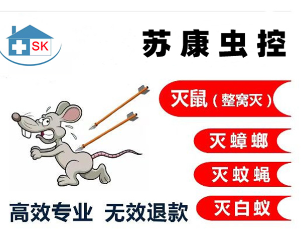 南京灭鼠公司
