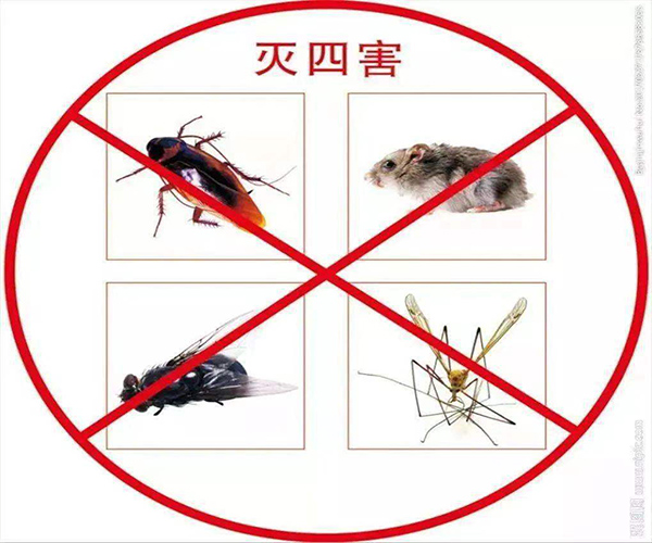 南京除四害公司