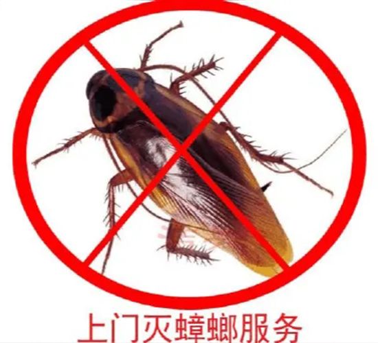 南京除蟑螂