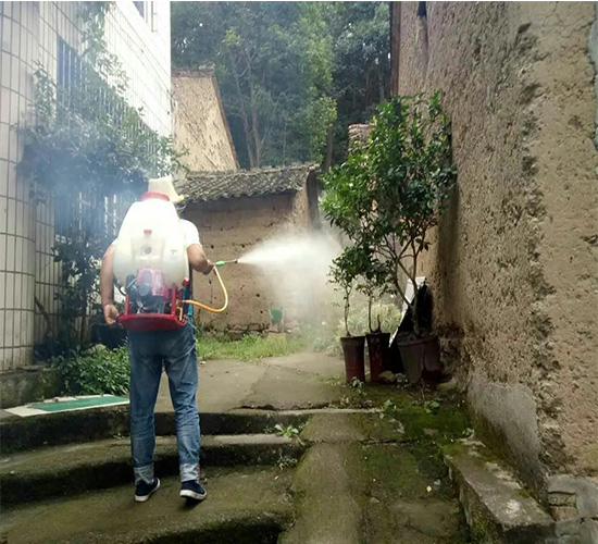 南京专业灭蚊子