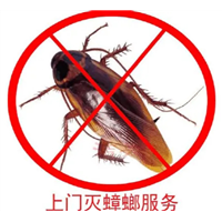 南京除蟑螂