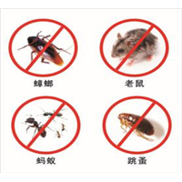 南京灭四害