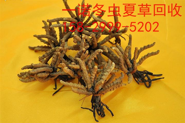 延安古币回收热线15829995202