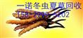 延安烟酒回收，延安回收烟酒