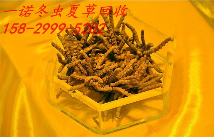 延安回收烟酒热线15829995202