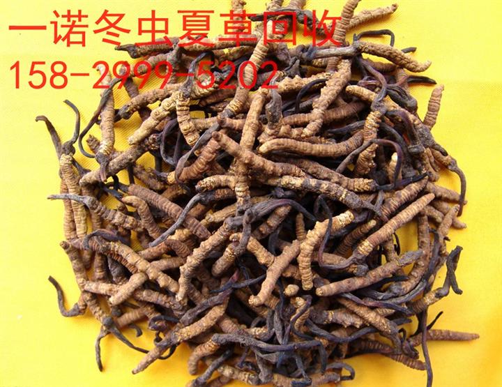 延安回收烟酒，延安茅台回收