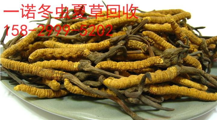 延安礼品回收热线15829995202