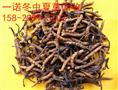 延安回收烟酒，延安茅台回收