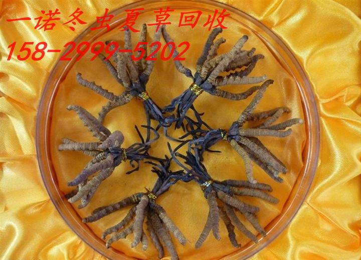 延安茅台回收热线15829995202