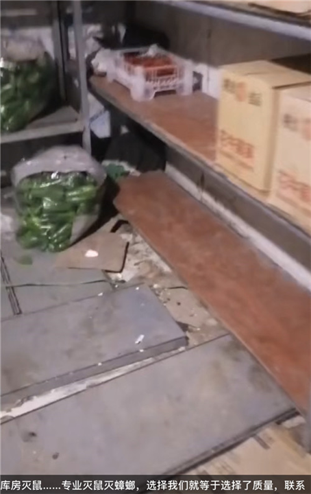 邢台南和车间杀白蚁杀蟑螂杀鼠电话是多少