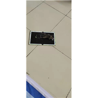 邢台南和理发店灭虫服务电话多少