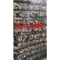 漳州石竹