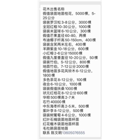 漳州苗木场