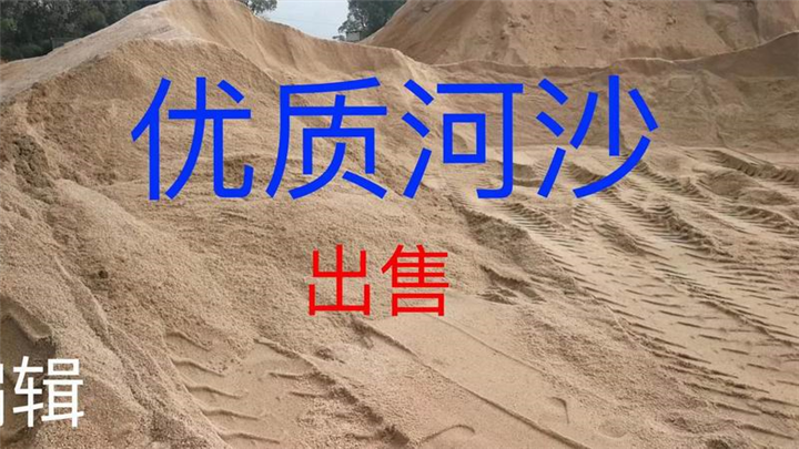 福建桂花基地