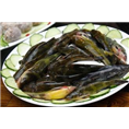 黄辣丁鱼苗5