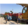 四川宜宾茶花13778911891