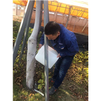 晋江灭鼠公司