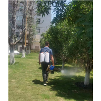 石狮服装城四害消杀