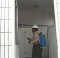 常熟灭鼠公司 