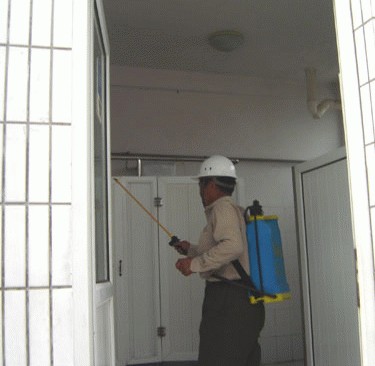 常熟灭鼠公司 