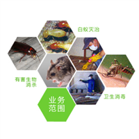 昆山灭鼠公司 18914990900 