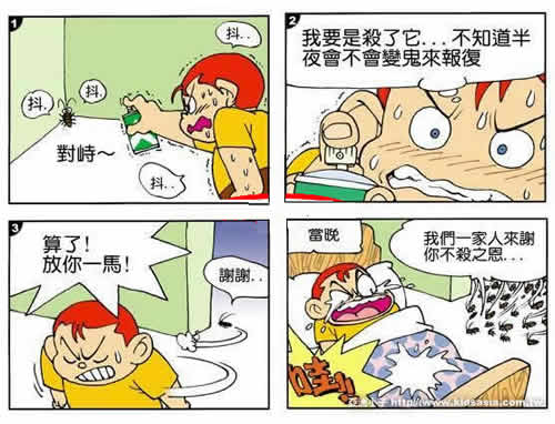 太仓灭鼠公司 