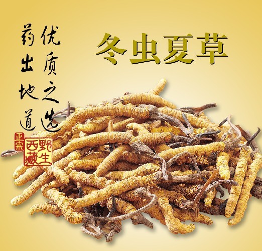 惠州虫草高价回收 