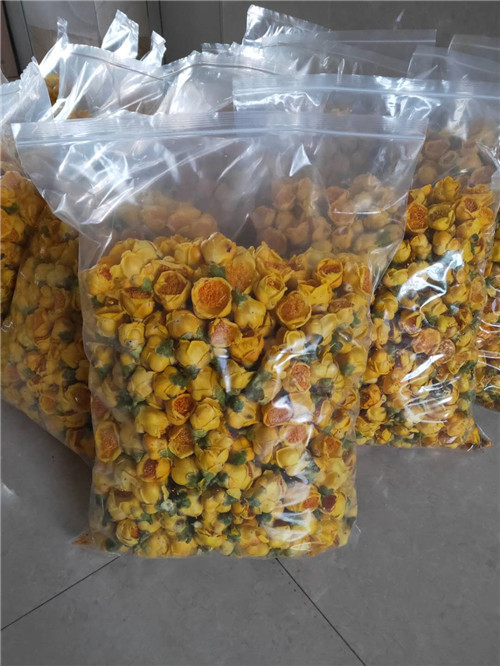 广西金茶花多少钱一斤