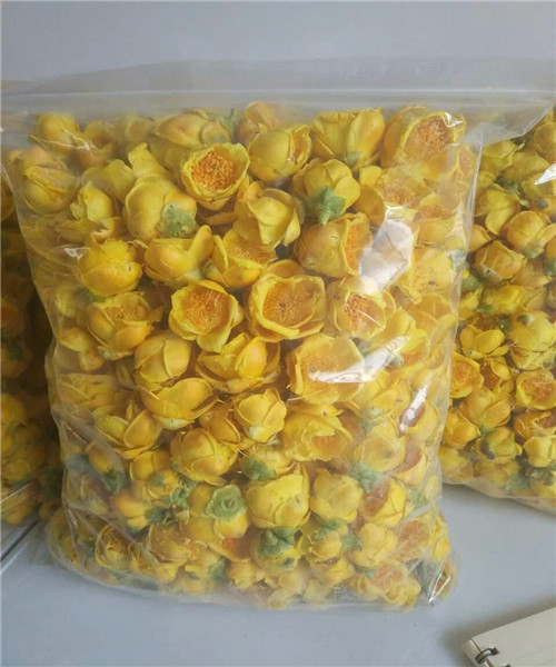 2018批发广西防城防普**茶花