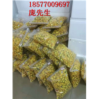 广西**茶苗|防城港**茶苗 