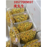 防城港**茶苗