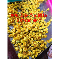 **茶 - 优质商品价格