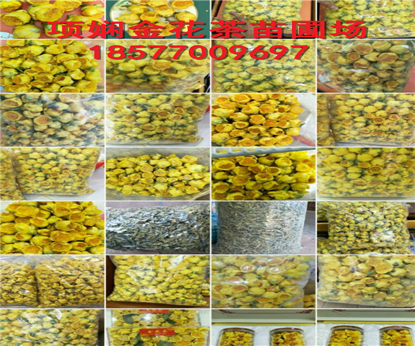 防普**茶供应|供应防普**茶 