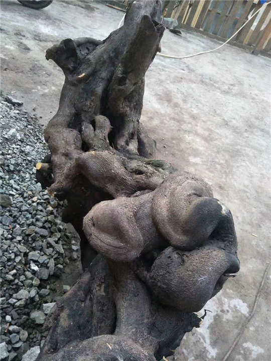 金弹子下山桩价格