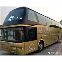 东营大客车租赁 