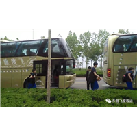东营租大巴 