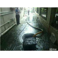 廉江专业疏通