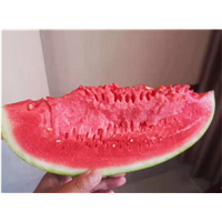 宁夏中卫西瓜代办代收