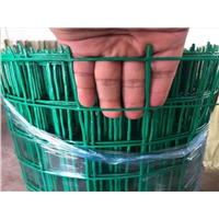 荷兰网