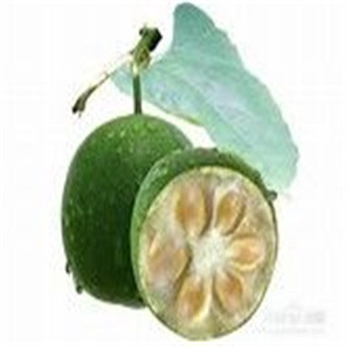 桂林罗汉果