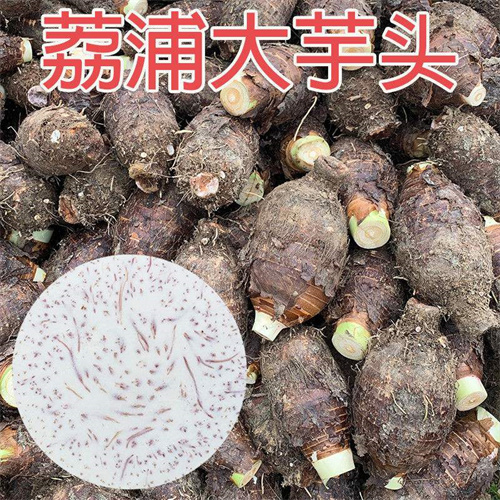 荔浦芋头**经典的吃法