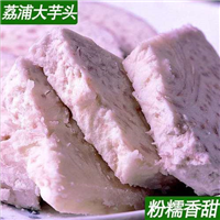 广西马蹄